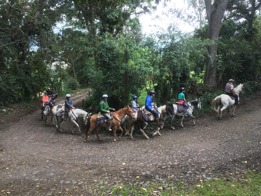 Hacienda La Alegria Hotel Kültér fotó