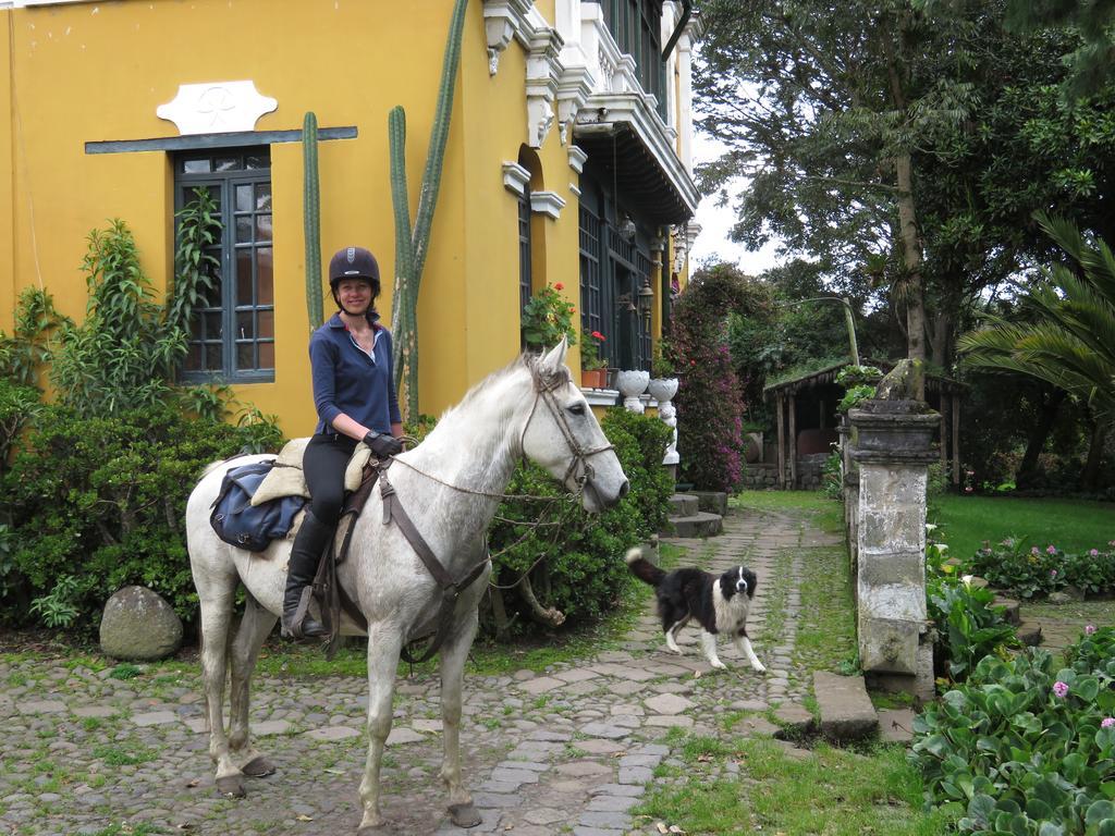 Hacienda La Alegria Hotel Kültér fotó